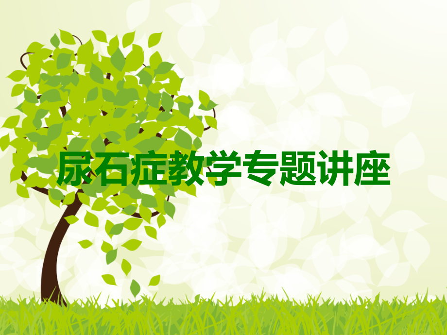 尿石症教学专题讲座.ppt_第1页