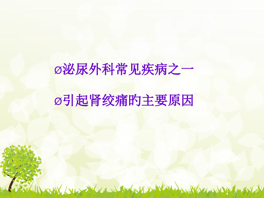 尿石症教学专题讲座.ppt_第2页