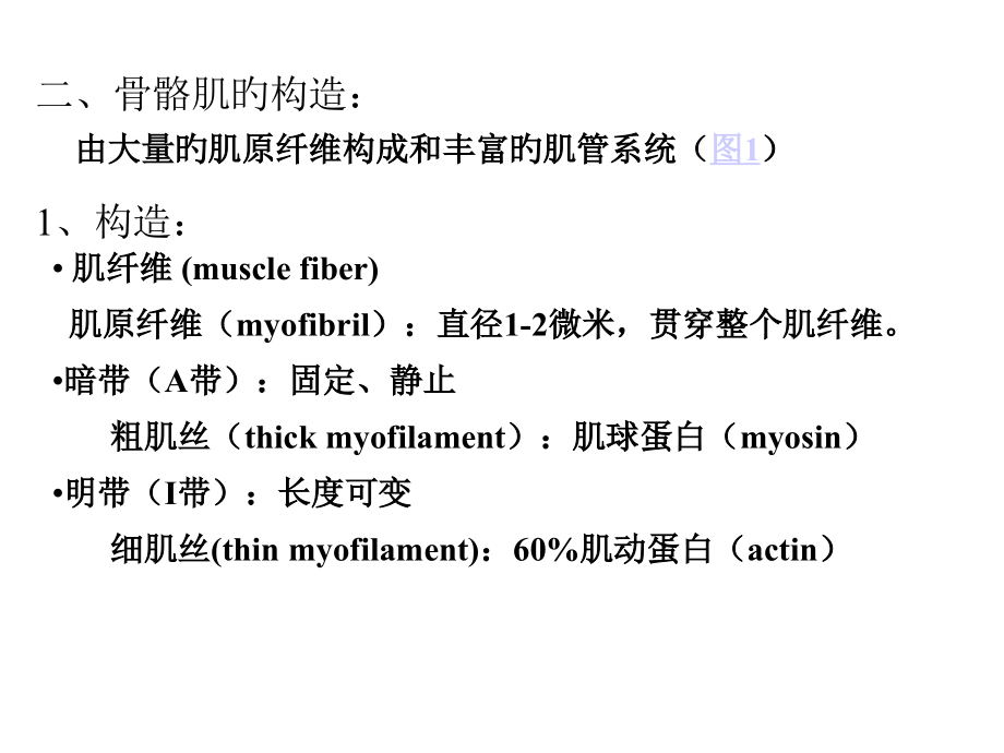 动物生理学肌肉的兴奋和收缩.pptx_第2页