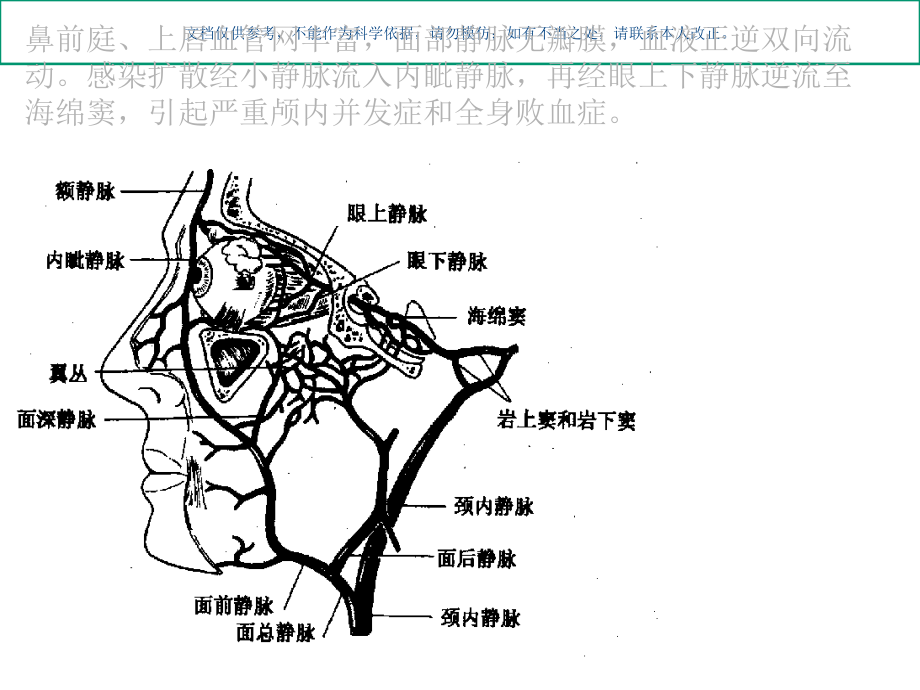 鼻腔外侧壁解剖结构课件.ppt_第2页