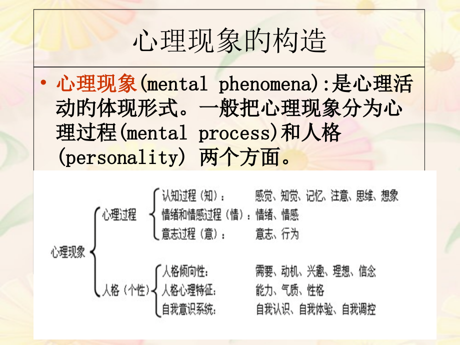 心理学基础专题讲座.ppt_第2页