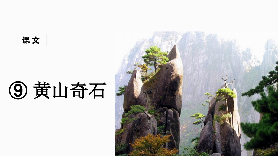 （课堂教学课件）黄山奇石.ppt_第1页