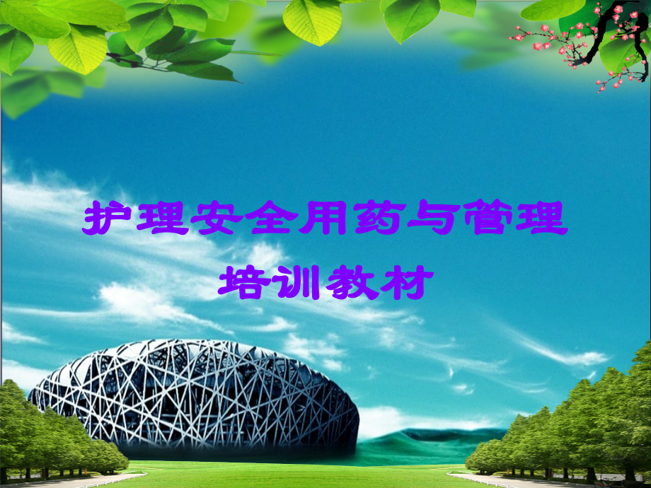 护理安全用药与管理培训教材.ppt_第1页