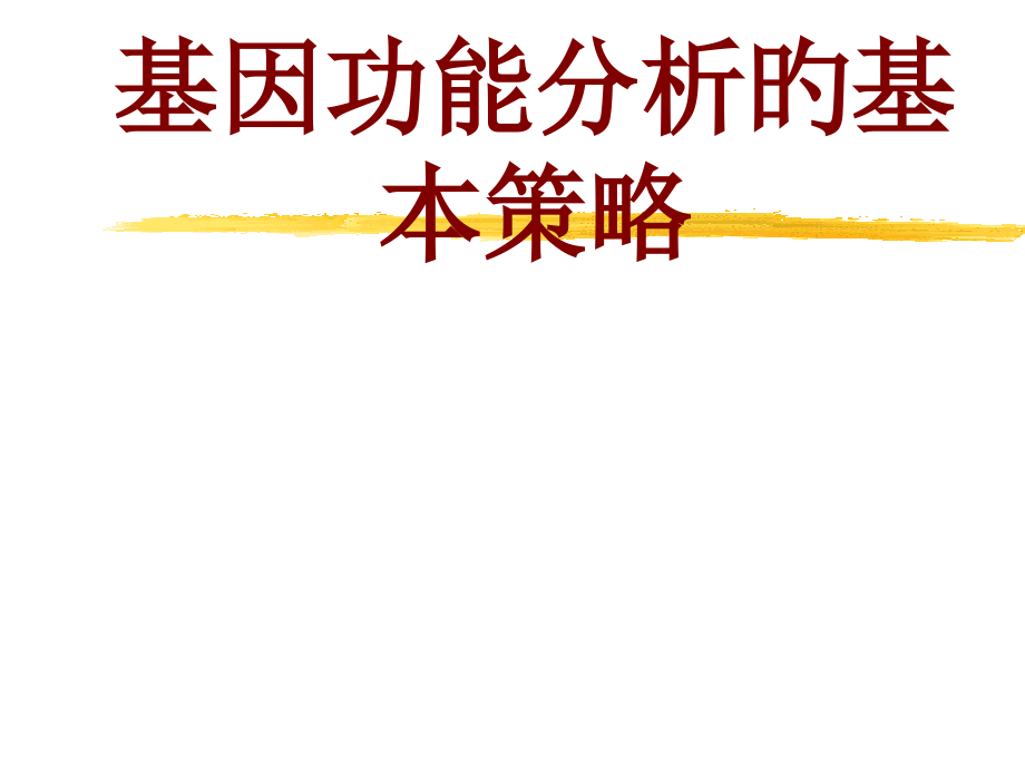 基因功能分析的基本策略.pptx_第1页