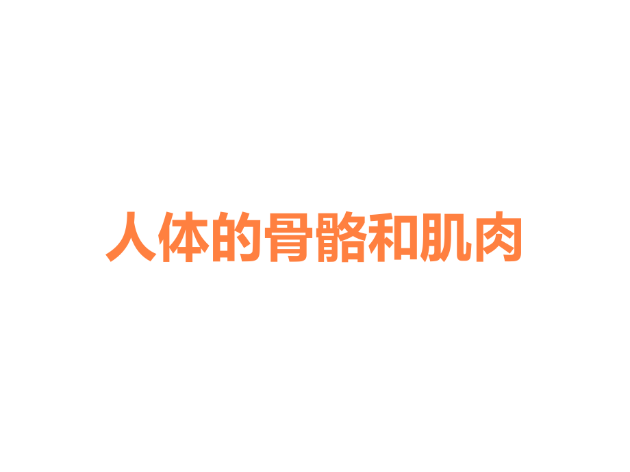 人体的骨骼和肌肉.ppt_第1页