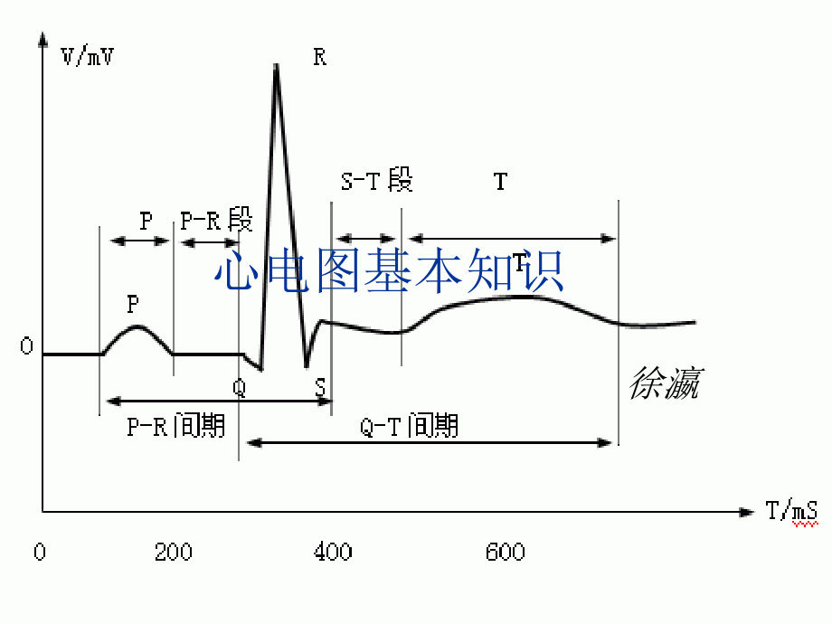 心电图的基本知识.pptx_第1页