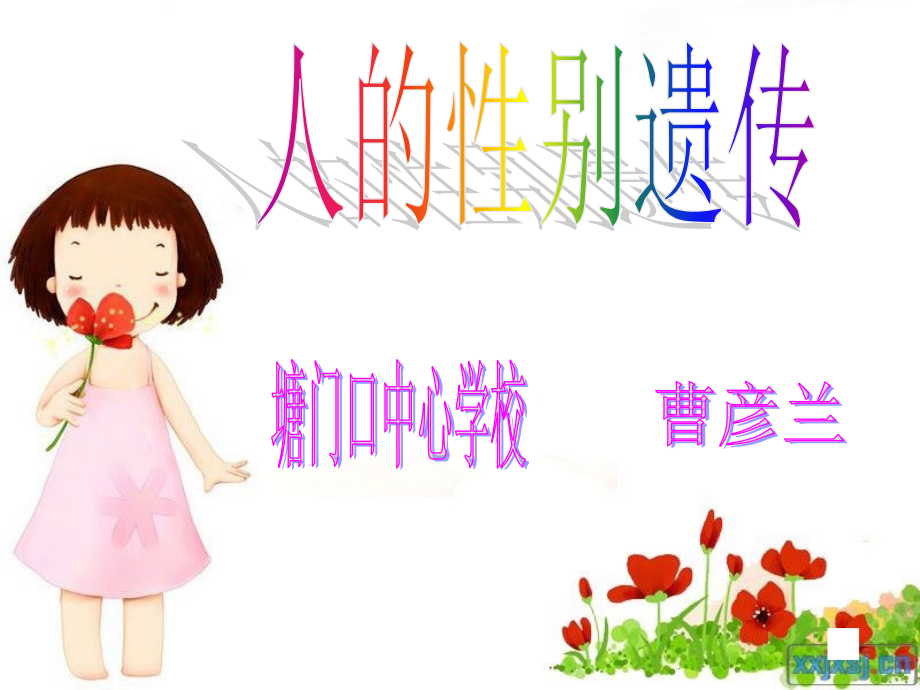 八年级生物人的性别遗传(1).ppt_第1页