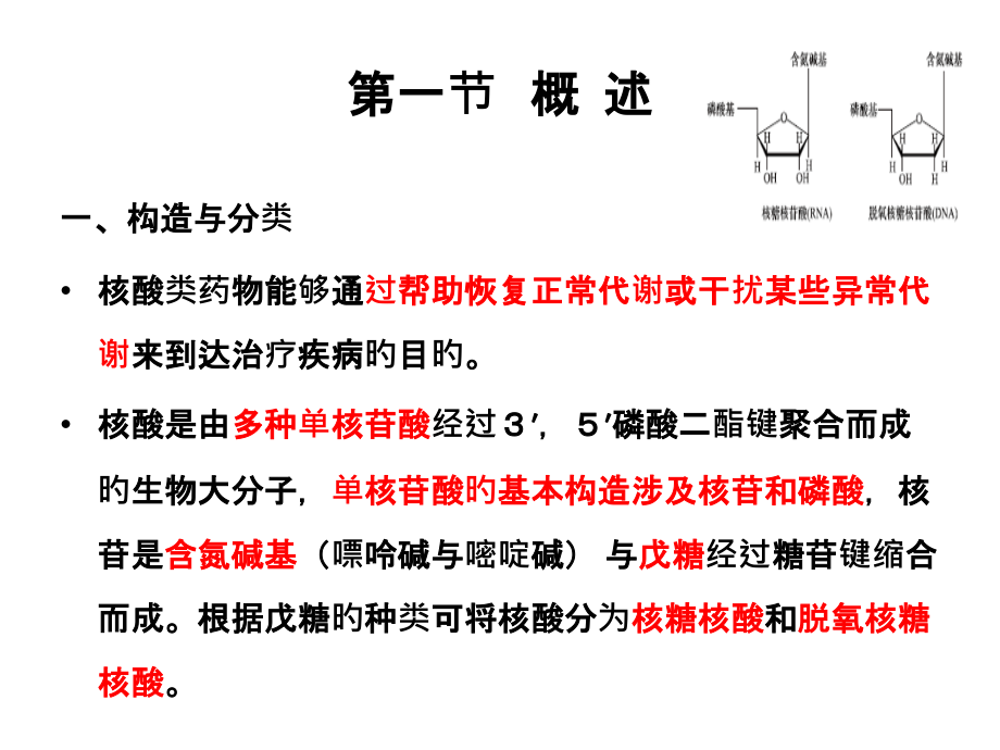 核酸类药物析.ppt_第2页