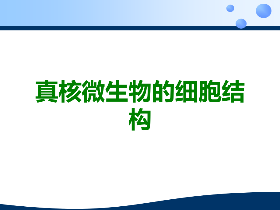 真核微生物的细胞结构.ppt_第1页