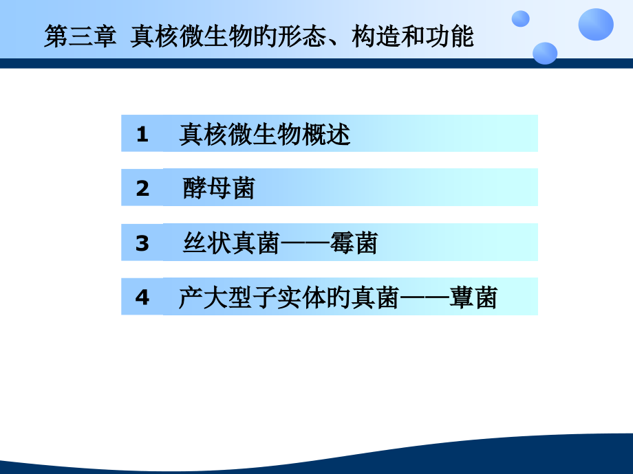 真核微生物的细胞结构.ppt_第2页