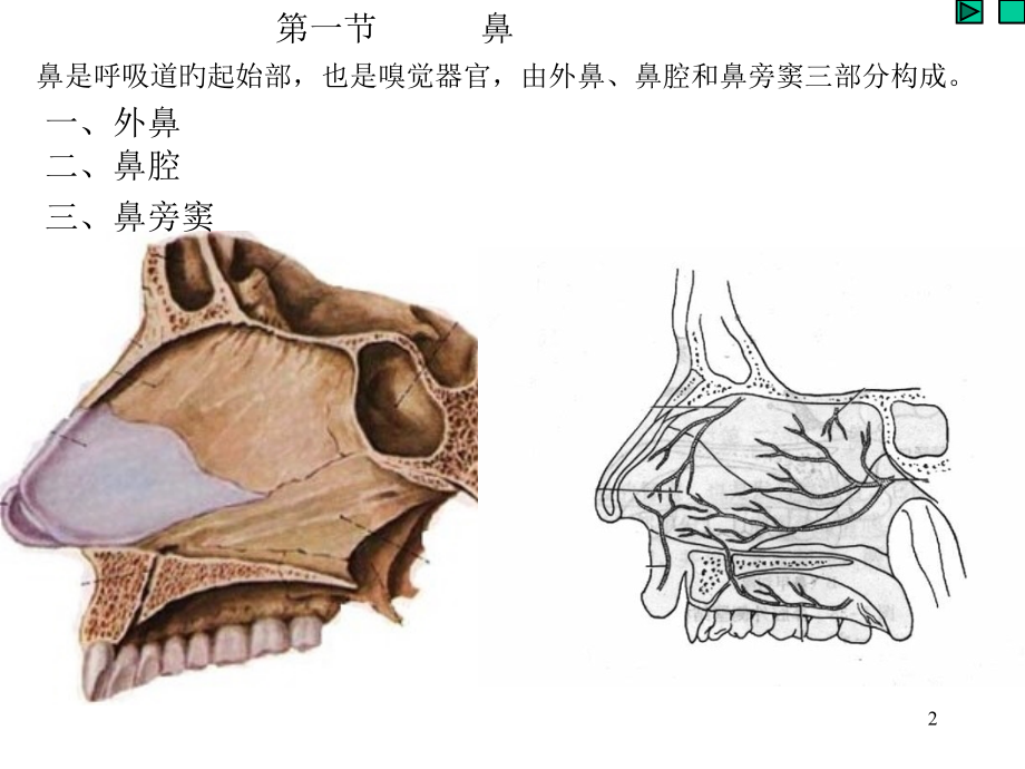 呼吸系统学专题讲座.ppt_第2页