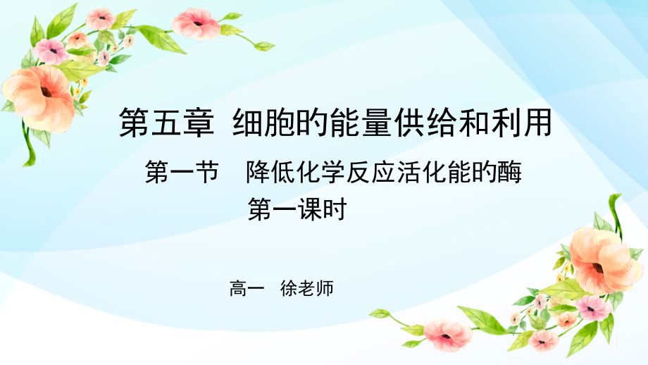 降低化学反应活化能的酶区.pptx_第1页