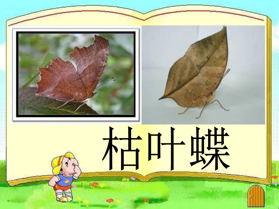 苏教版上册《变色龙》.ppt_第2页
