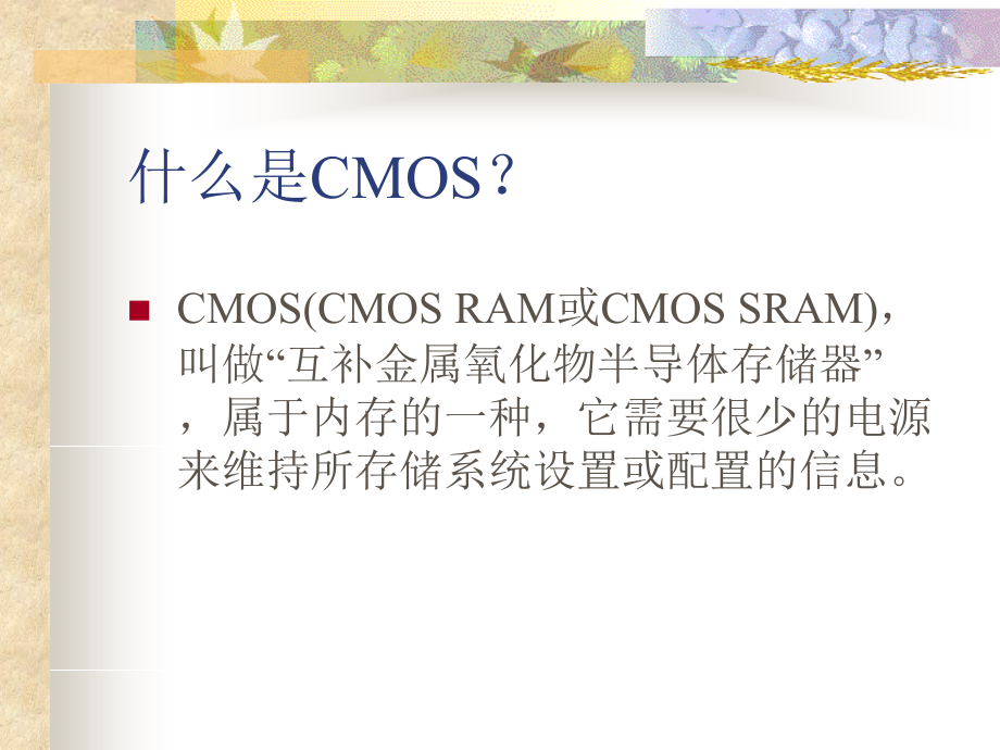 基本CMOS设置.ppt_第2页