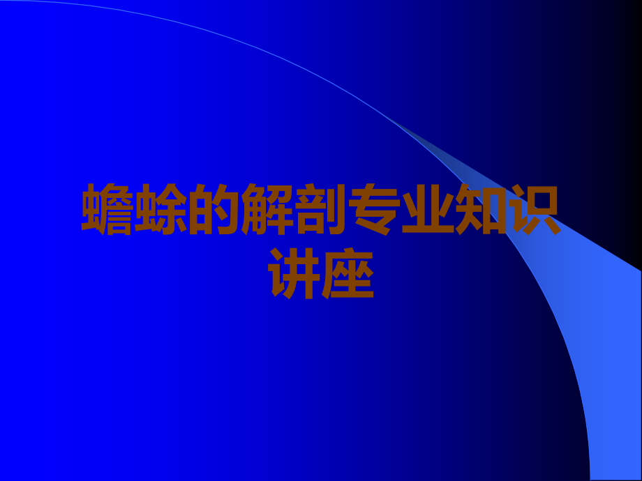 蟾蜍的解剖.ppt_第1页