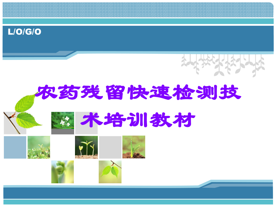 农药残留快速检测技术培训教材.ppt_第1页