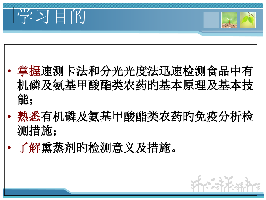 农药残留快速检测技术培训教材.ppt_第2页