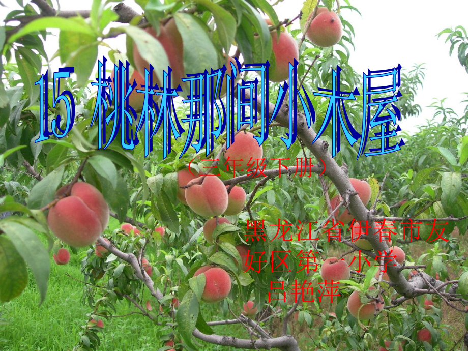 桃林那间小木屋课件.ppt_第1页