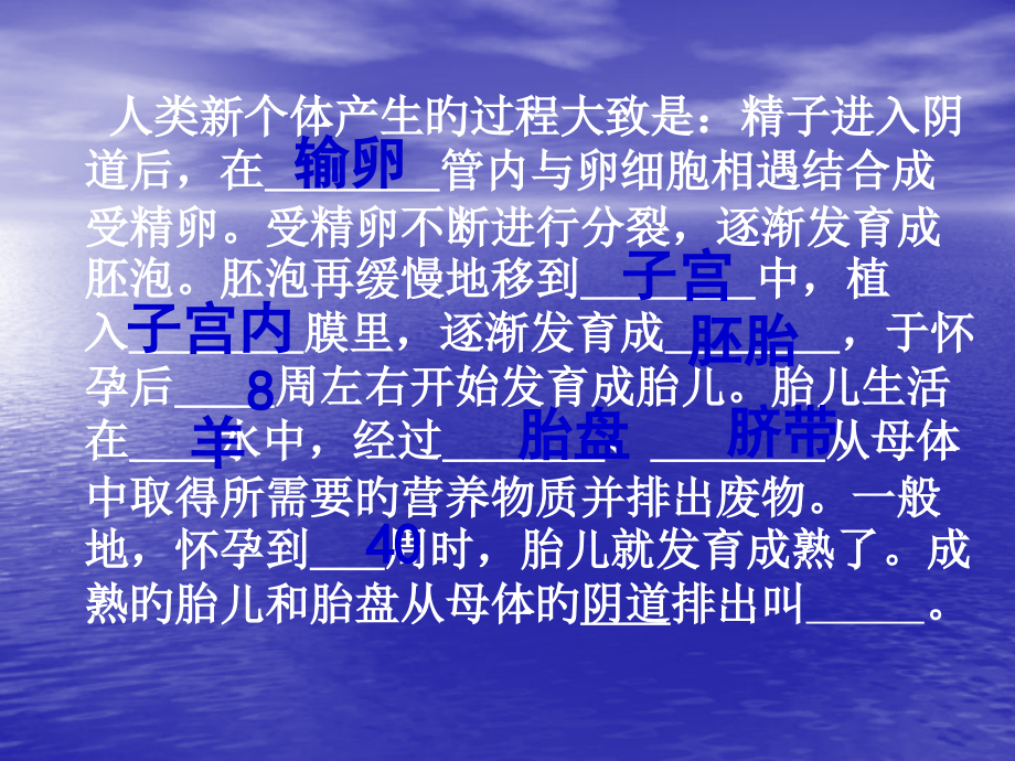 青春期主题知识培训.pptx_第2页