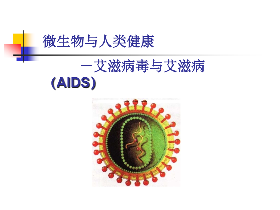 微生物和健康艾滋病毒与艾滋病.pptx_第1页