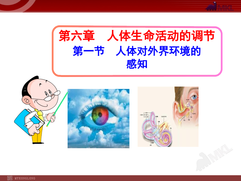 彭亮人体对外界环境的感知.ppt_第1页