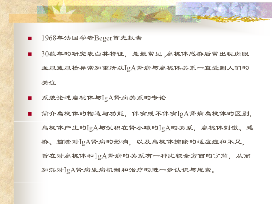 扁桃体和IgA肾病.pptx_第2页