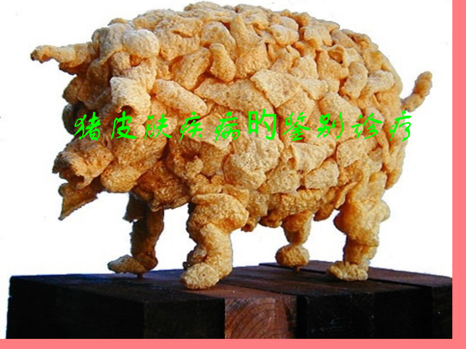 猪皮肤疾病的鉴别诊疗专家讲座.ppt_第2页