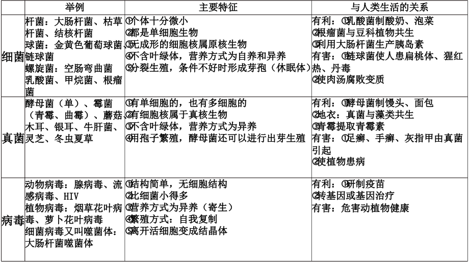 细菌真菌病毒特征.pptx_第1页