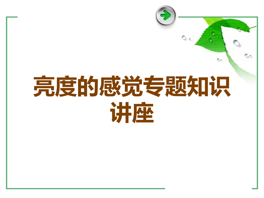 亮度的感觉专题知识讲座.ppt_第1页