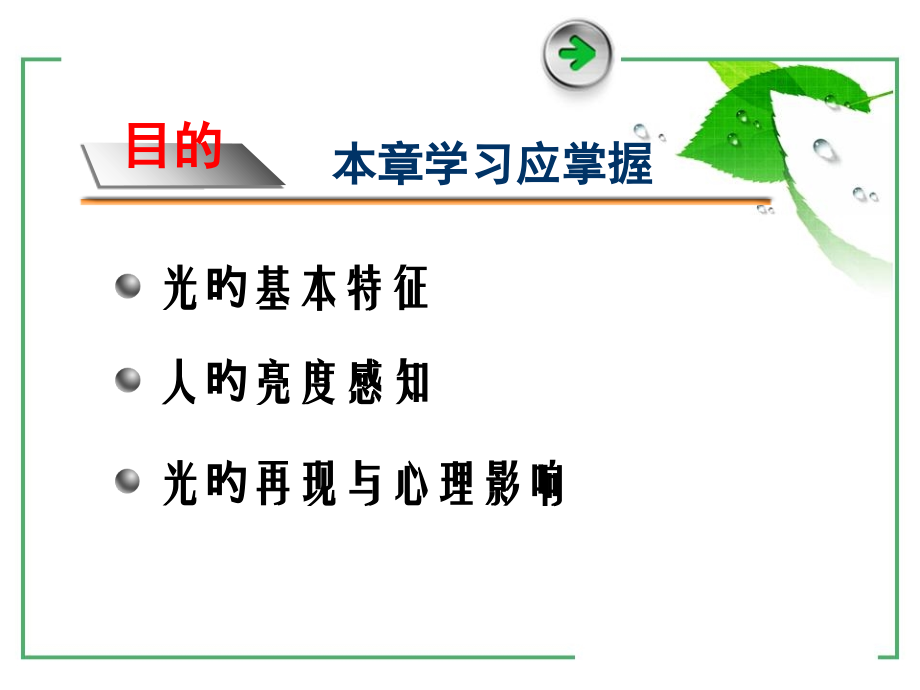 亮度的感觉专题知识讲座.ppt_第2页