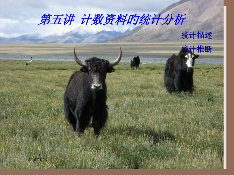 第五讲计数资料的统计分析.pptx_第1页