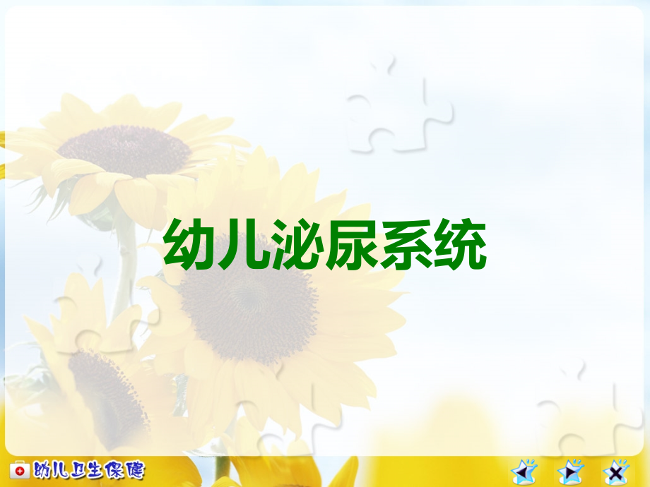 幼儿泌尿系统.ppt_第1页