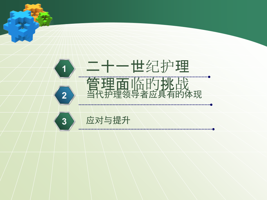 护理管理面临的挑战及应对.ppt_第2页