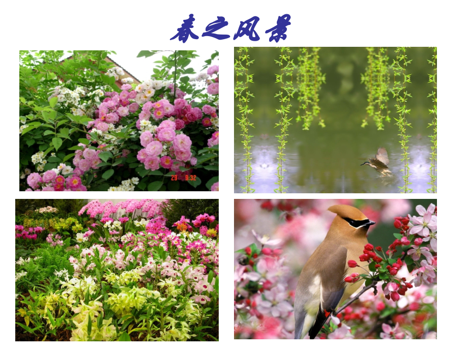 汇报课《春》阅读教学设计.ppt_第2页