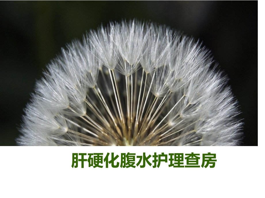 肝硬化腹水医疗护理查房.pptx_第1页