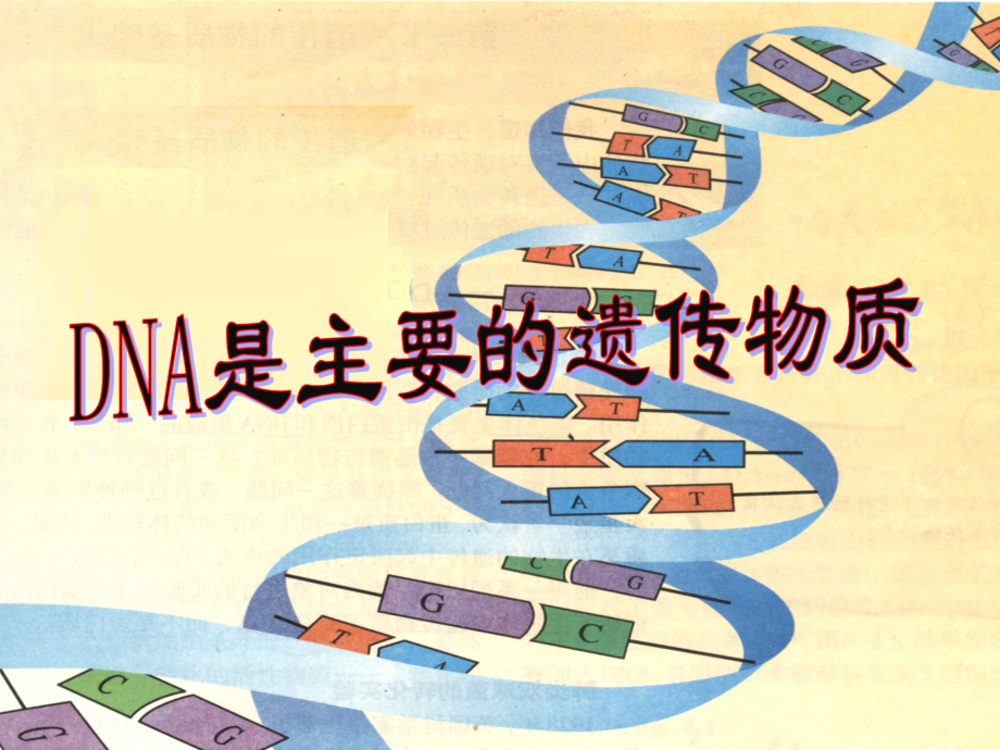 必修二31DNA是主要的遗传物质.pptx_第1页