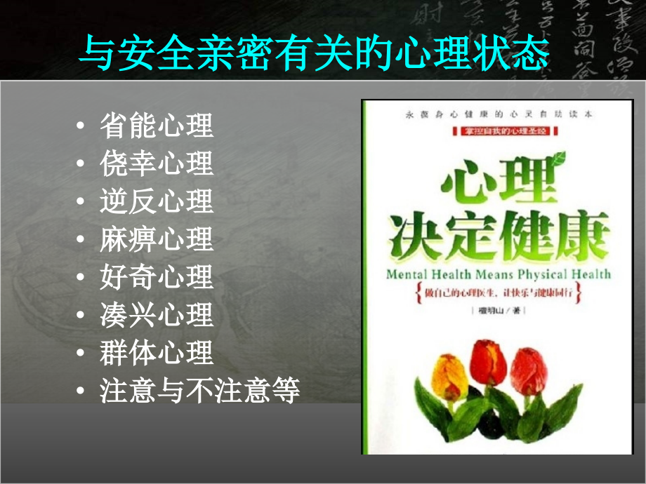 与安全相关的心理.pptx_第1页
