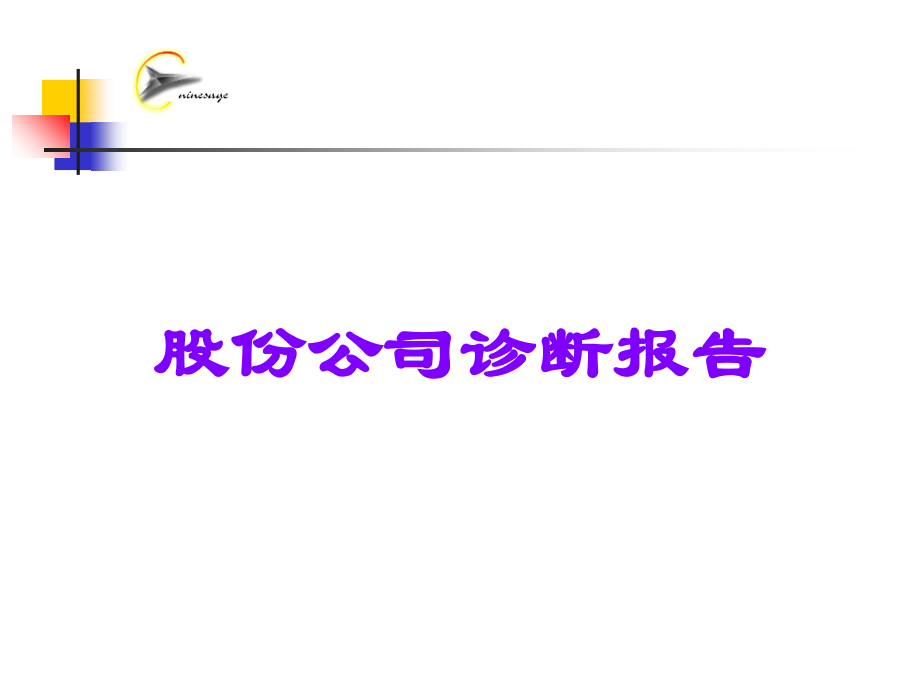 股份公司诊断报告.ppt_第1页