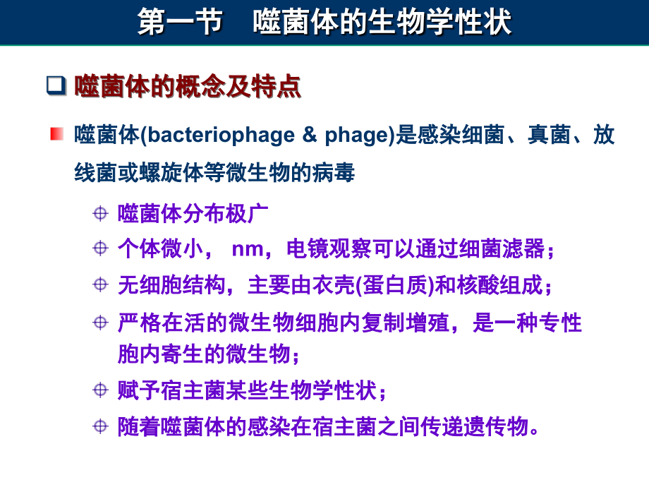 噬菌体专题知识讲座.ppt_第1页