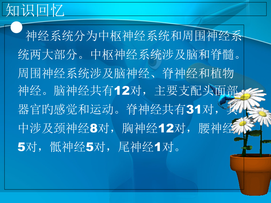 喉返神经解剖和应用.ppt_第2页
