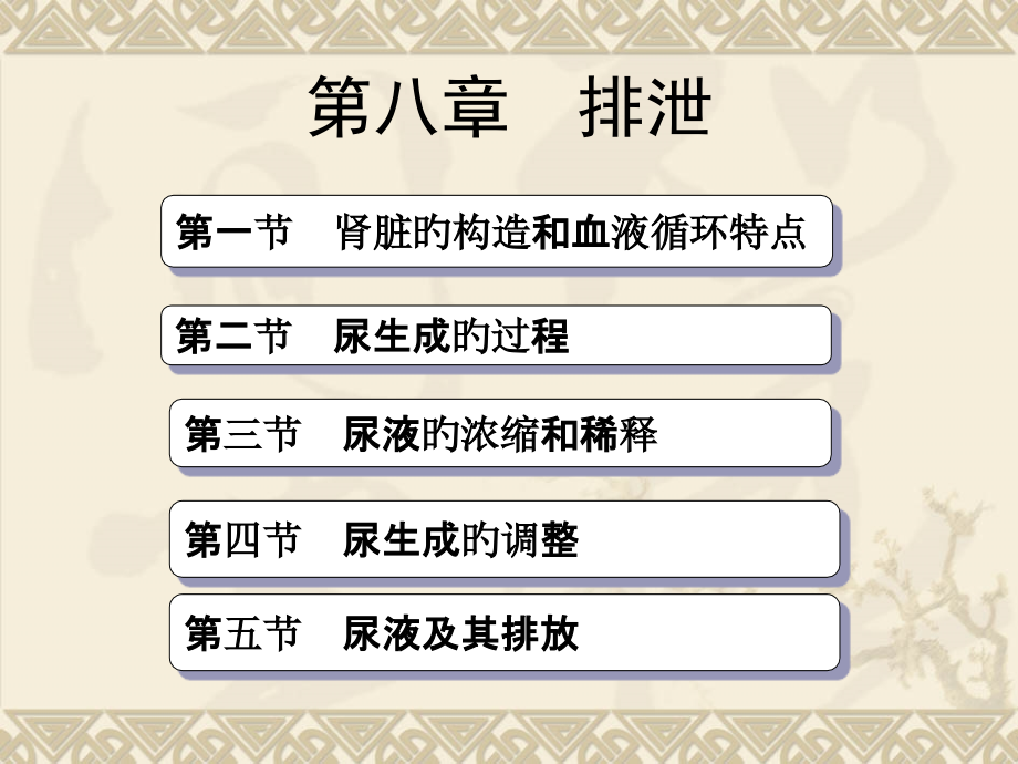 生理学排泄.pptx_第1页
