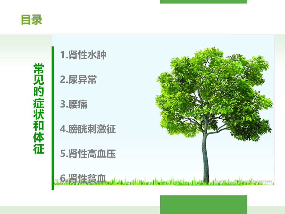 肾脏病常见的症状及护理措施.ppt_第2页