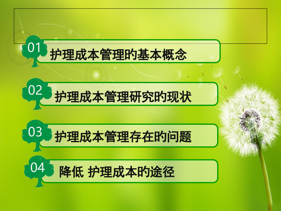 医疗护理成本管理.pptx_第2页