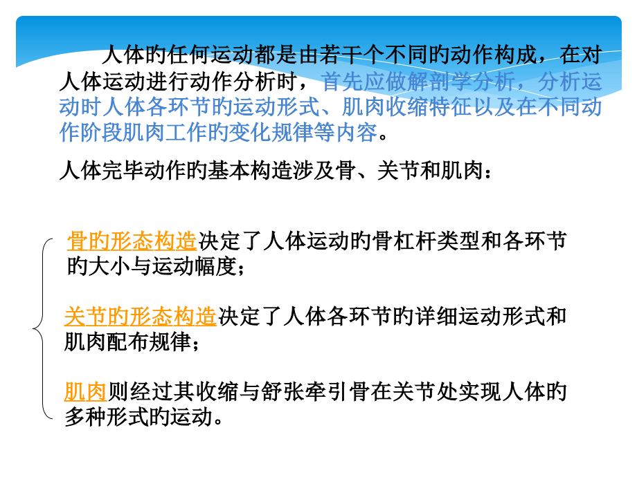 体育运动解剖学分析.pptx_第2页