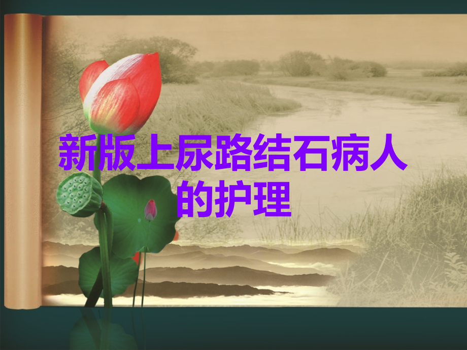 新版上尿路结石病人的护理.ppt_第1页