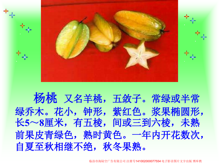 画杨桃课件4.ppt_第2页