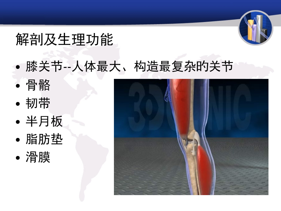 膝关节解剖和常见疾病MRI.pptx_第2页