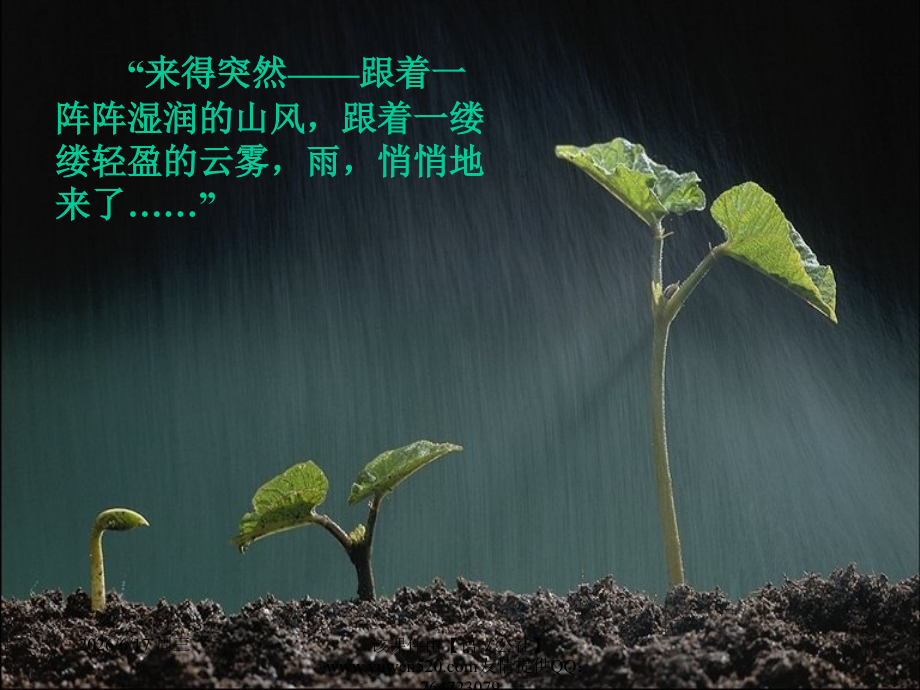 人教课标版六年级下册语文山雨课件.ppt_第2页