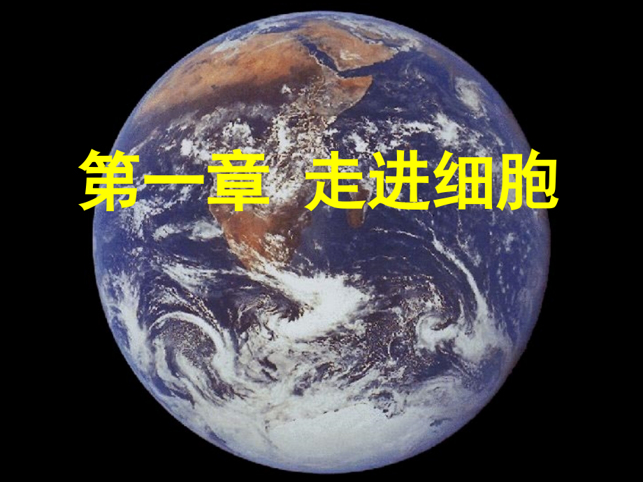 高中生物必修一第一章课件.ppt_第1页