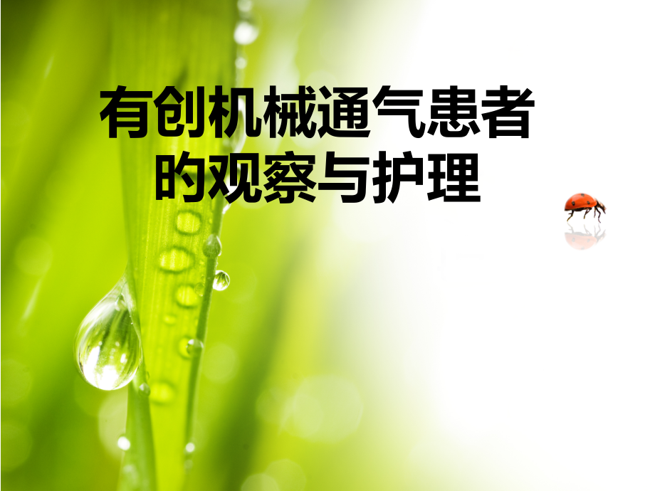 有创机械通气患者的观察和医疗护理.pptx_第1页